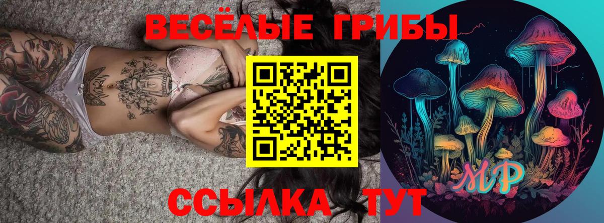 Псилоцибиновые грибы MAGIC MUSHROOMS Кашира