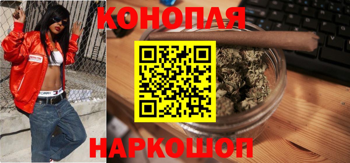 МЕФ Кашира